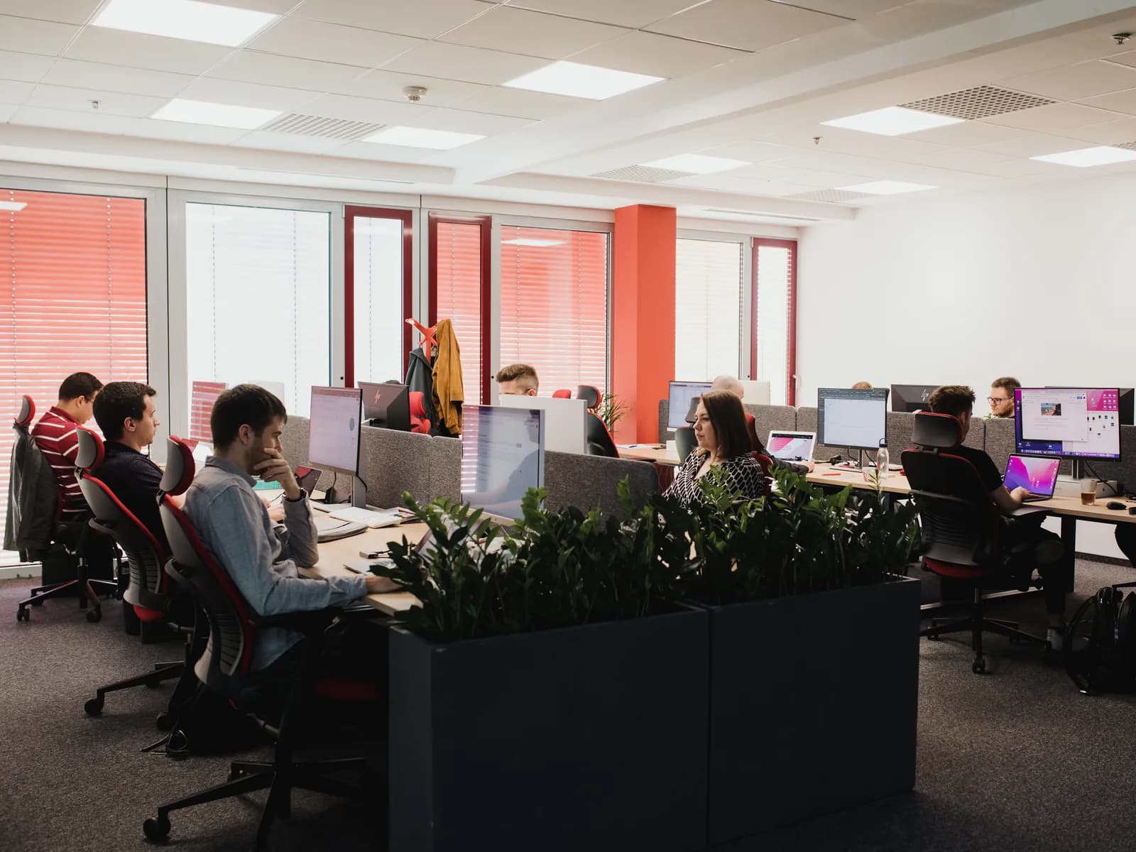 A team at their desks in the office, each at their own computer