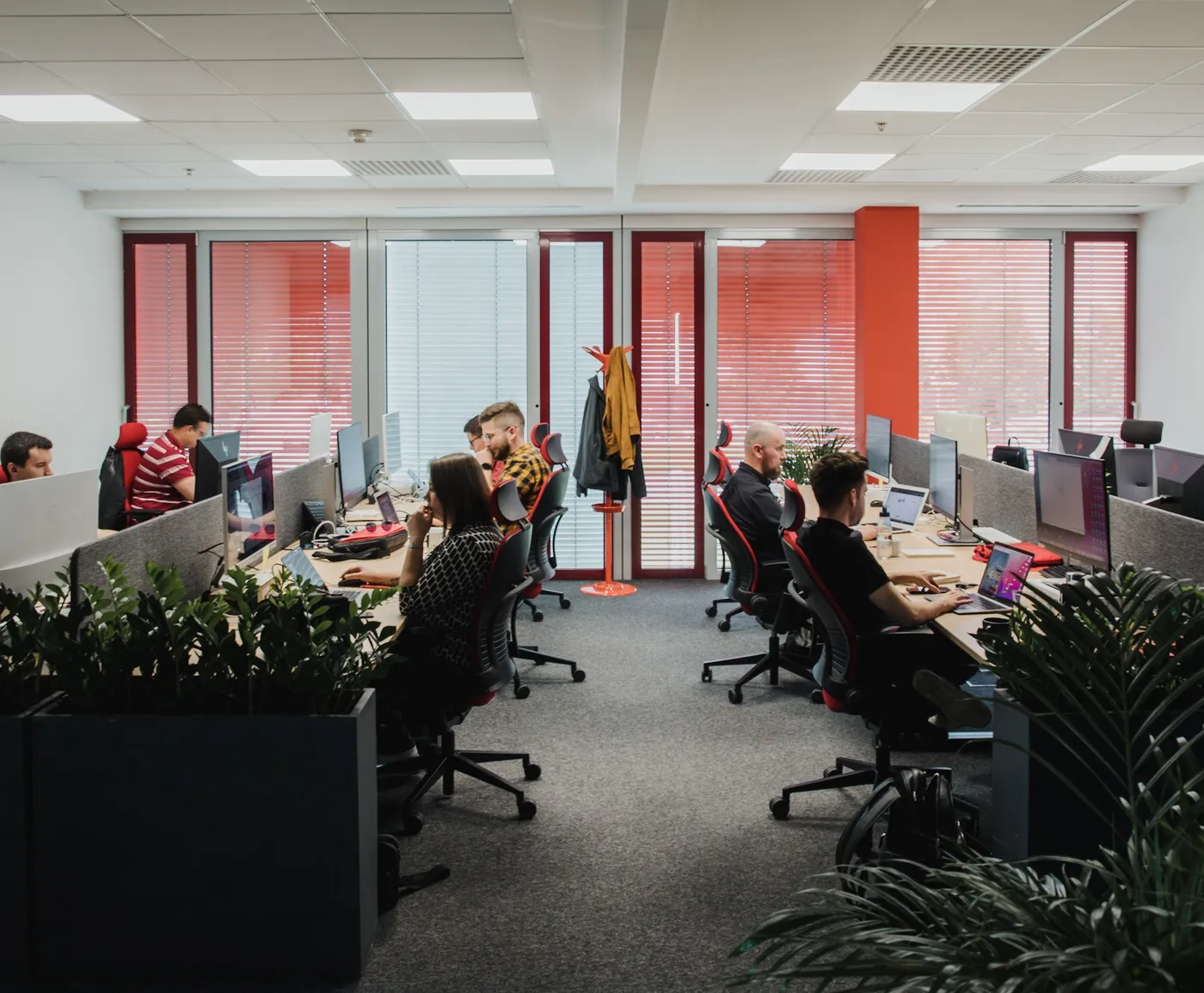 An open-plan office with the team working at their desks